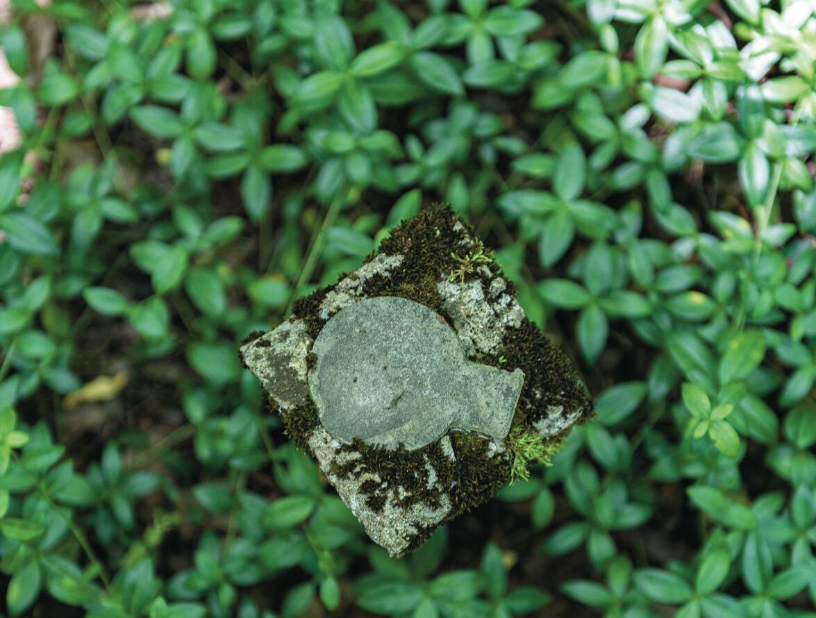 benevolentCementary-6486.jpg